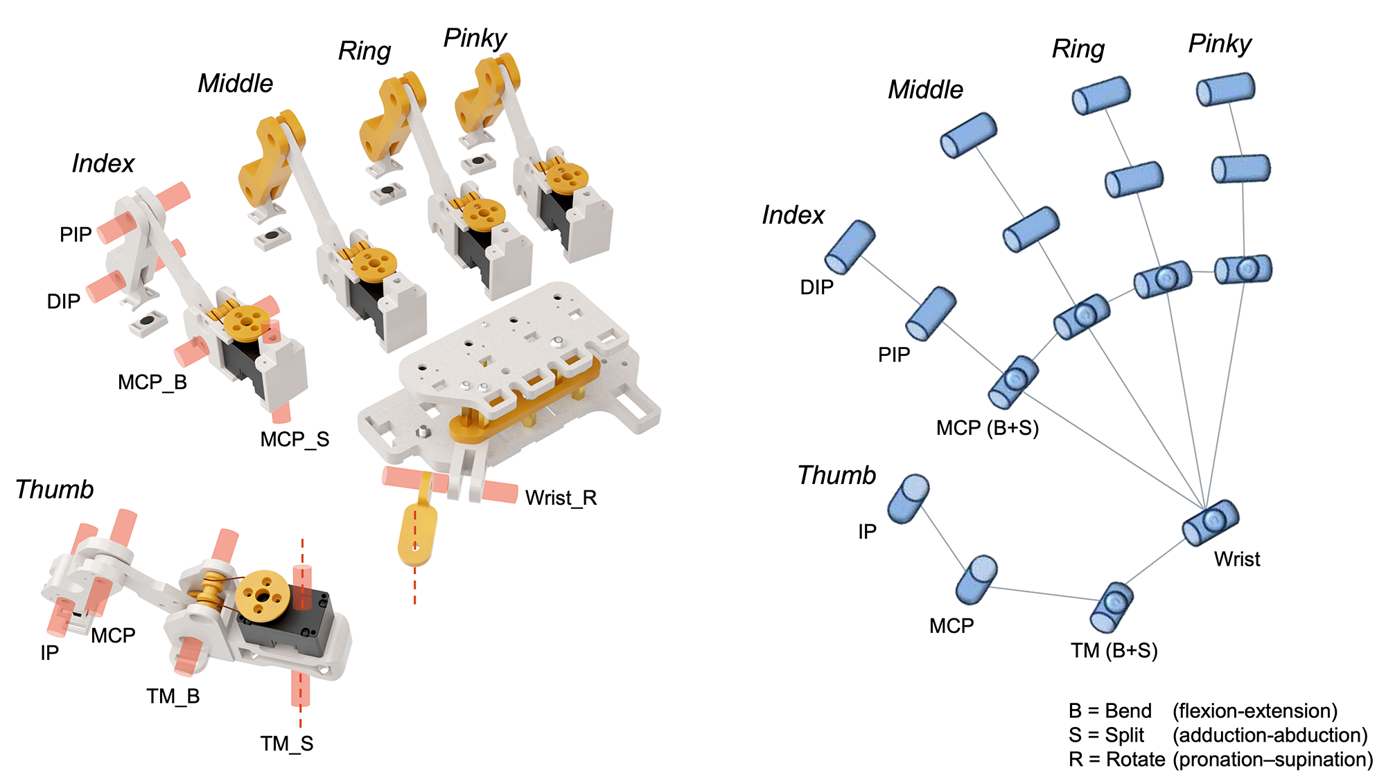 Kinematic Structure